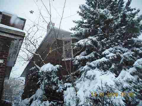 3319 Pingree (7)_m.jpg